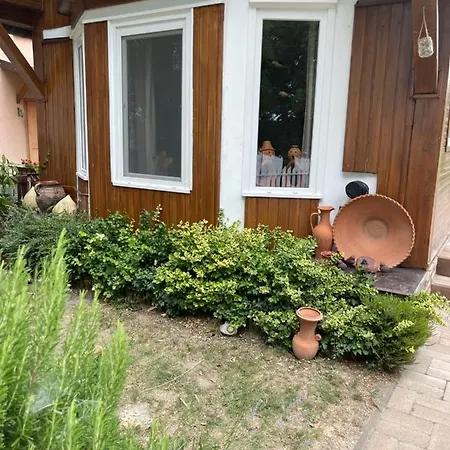 Holiday home Vizparti Futrinka Vendeghaz